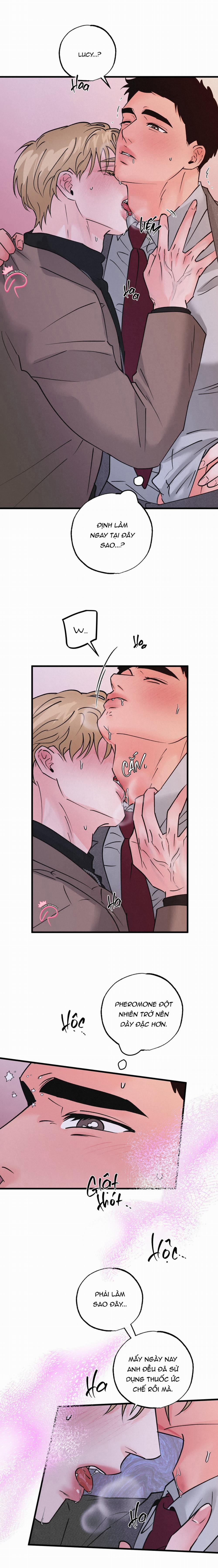 Xứng Đôi Vừa Lứa 37 trang 12