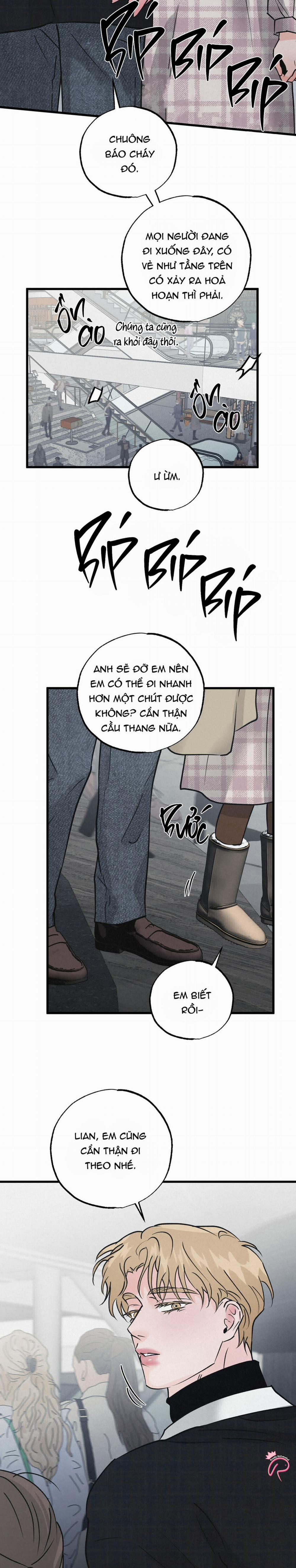 Xứng Đôi Vừa Lứa 41 trang 16