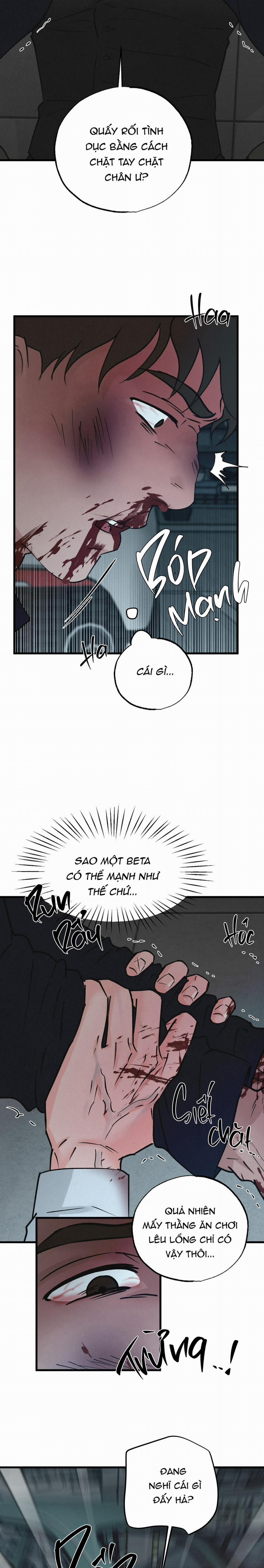 Xứng Đôi Vừa Lứa 43 trang 5