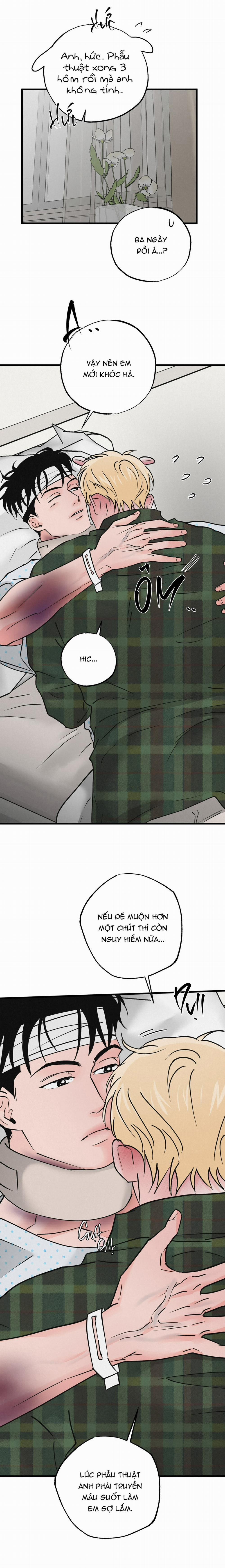 Xứng Đôi Vừa Lứa 44 trang 13