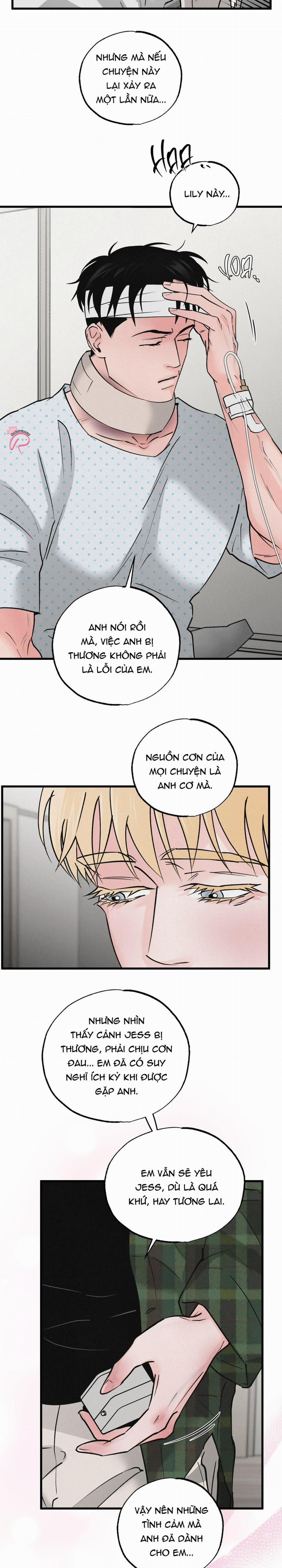 Xứng Đôi Vừa Lứa 45 trang 2