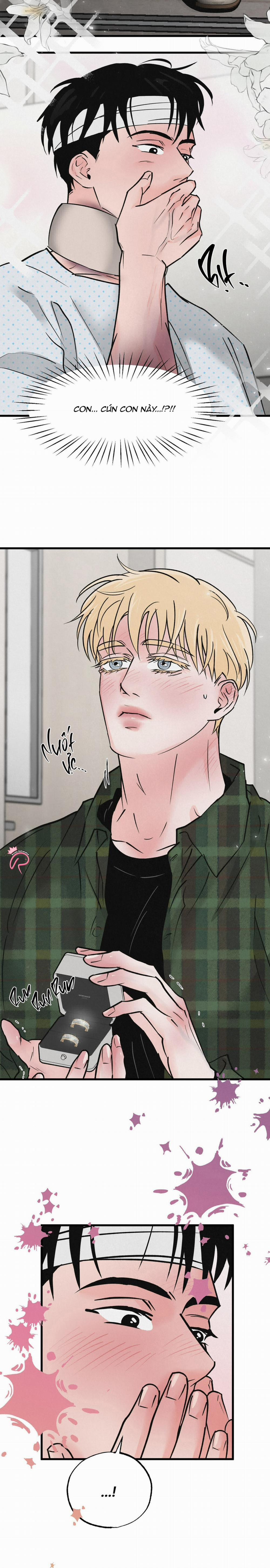 Xứng Đôi Vừa Lứa 45 trang 5