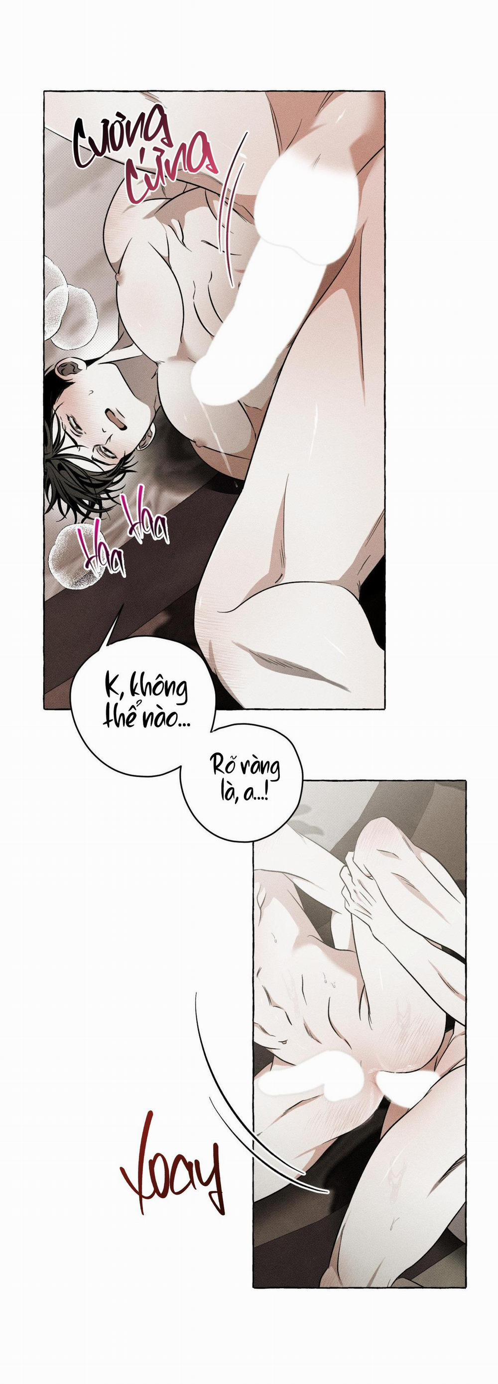 Xương Và Cánh Hoa 12 trang 13