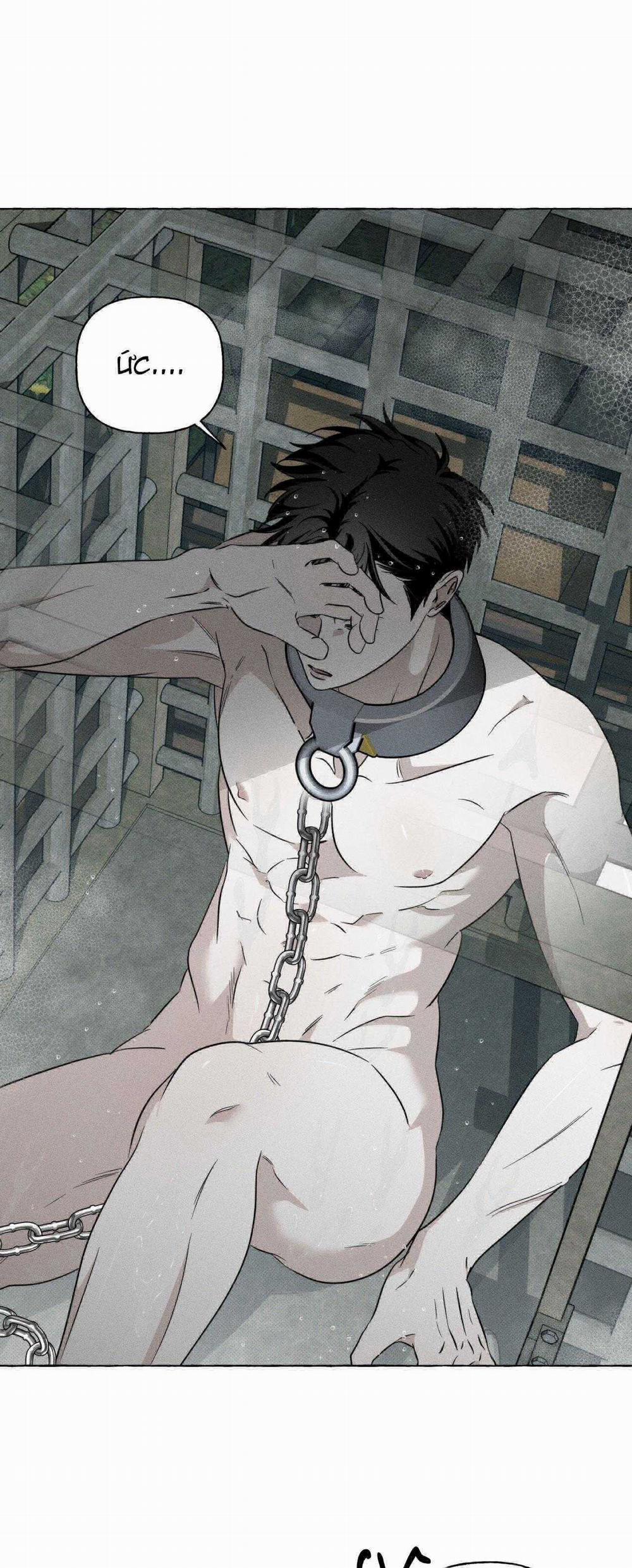 Xương Và Cánh Hoa 26 trang 3