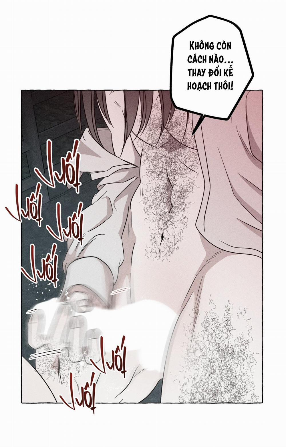 Xương Và Cánh Hoa 27 trang 12