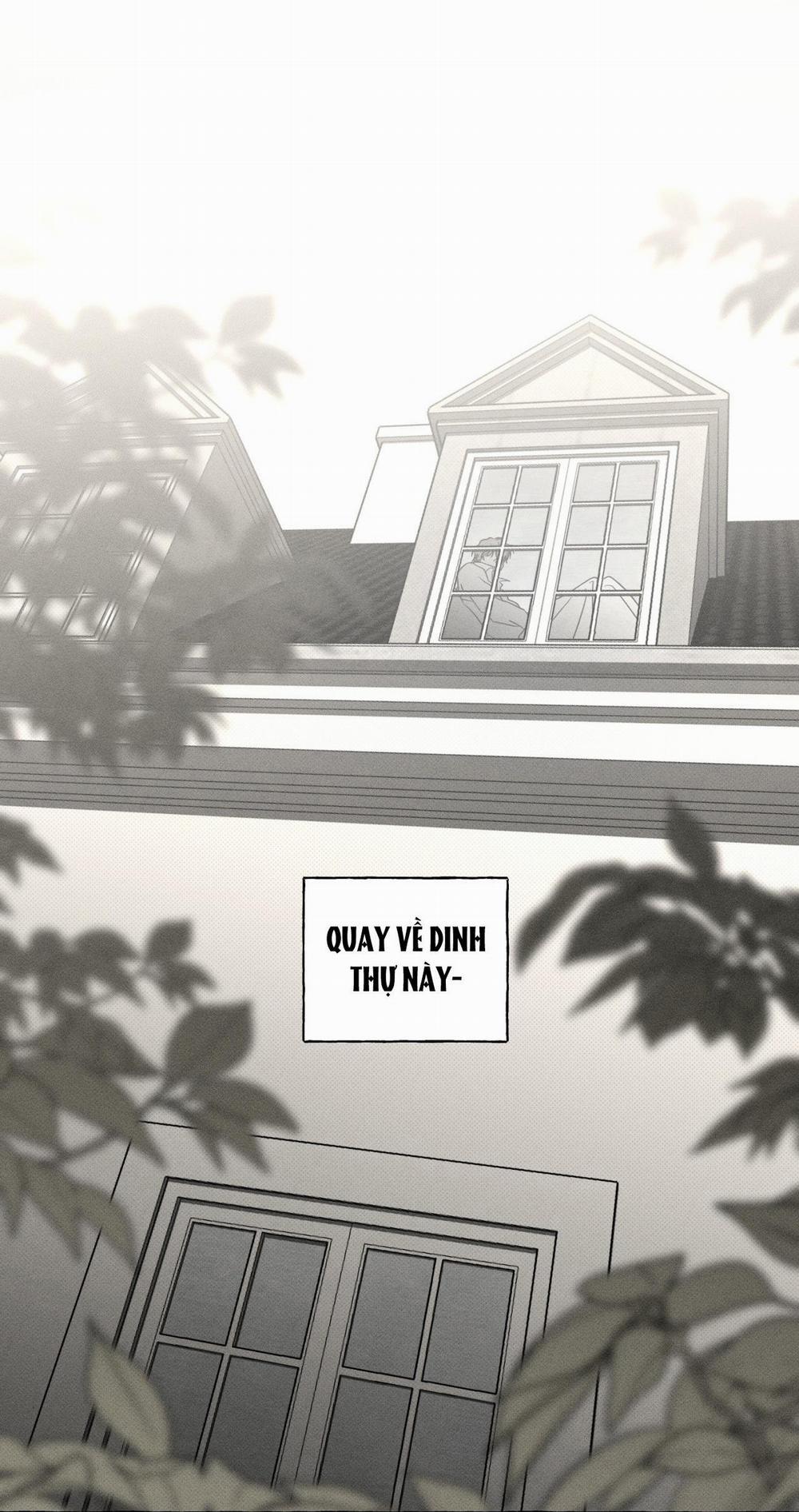 Xương Và Cánh Hoa 29 trang 15