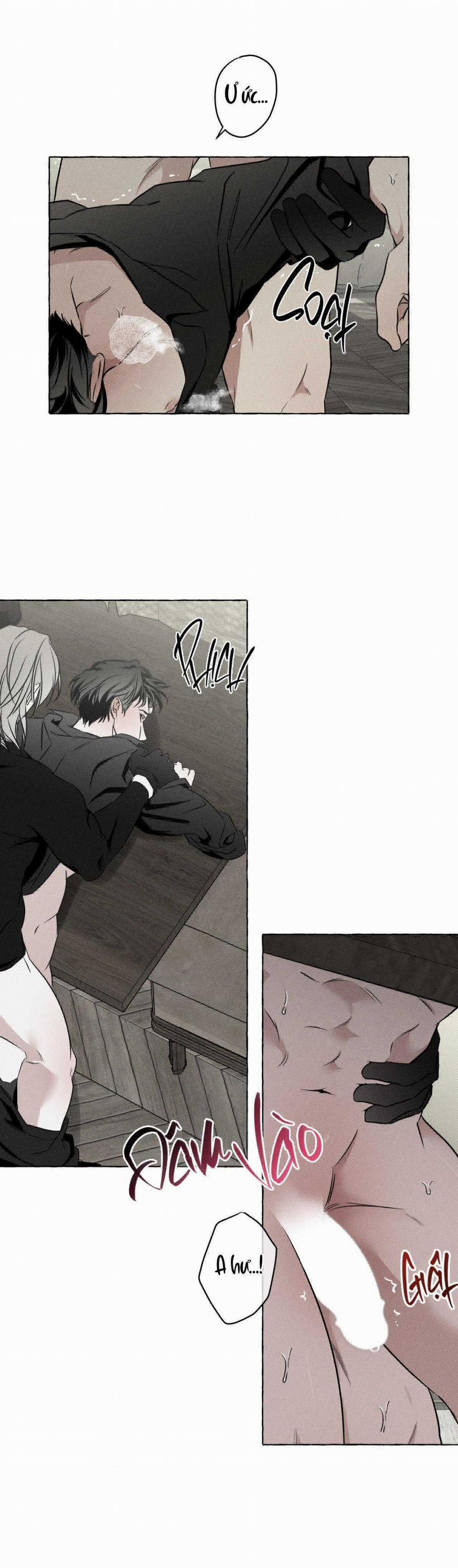 Xương Và Cánh Hoa 34 trang 5