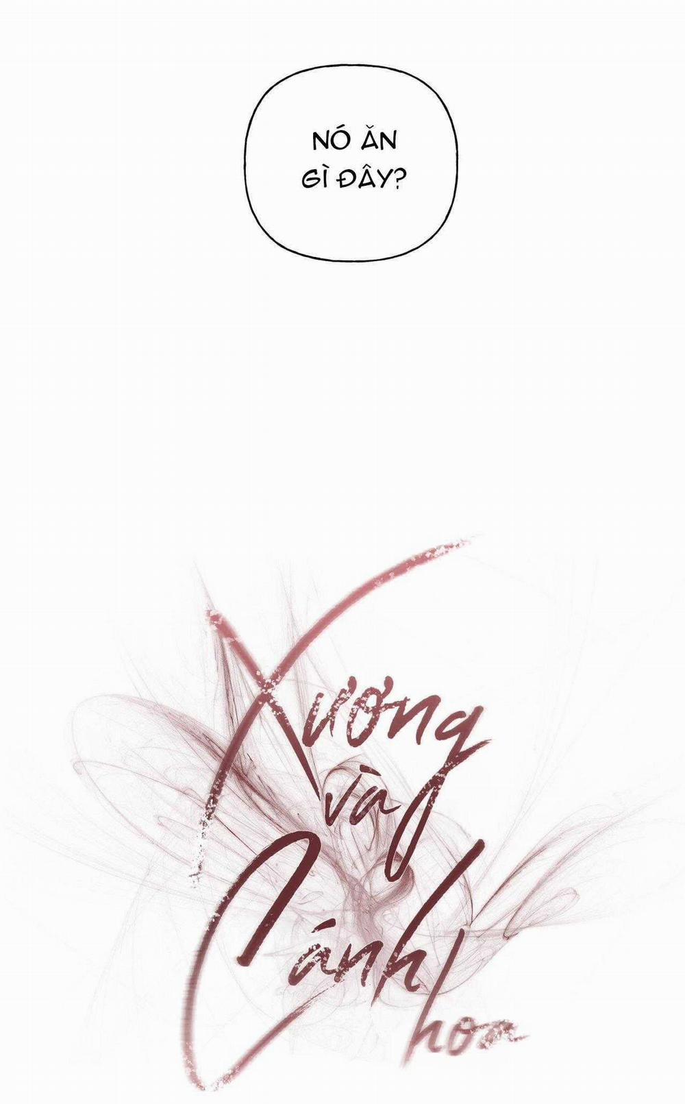 Xương Và Cánh Hoa 39 trang 18