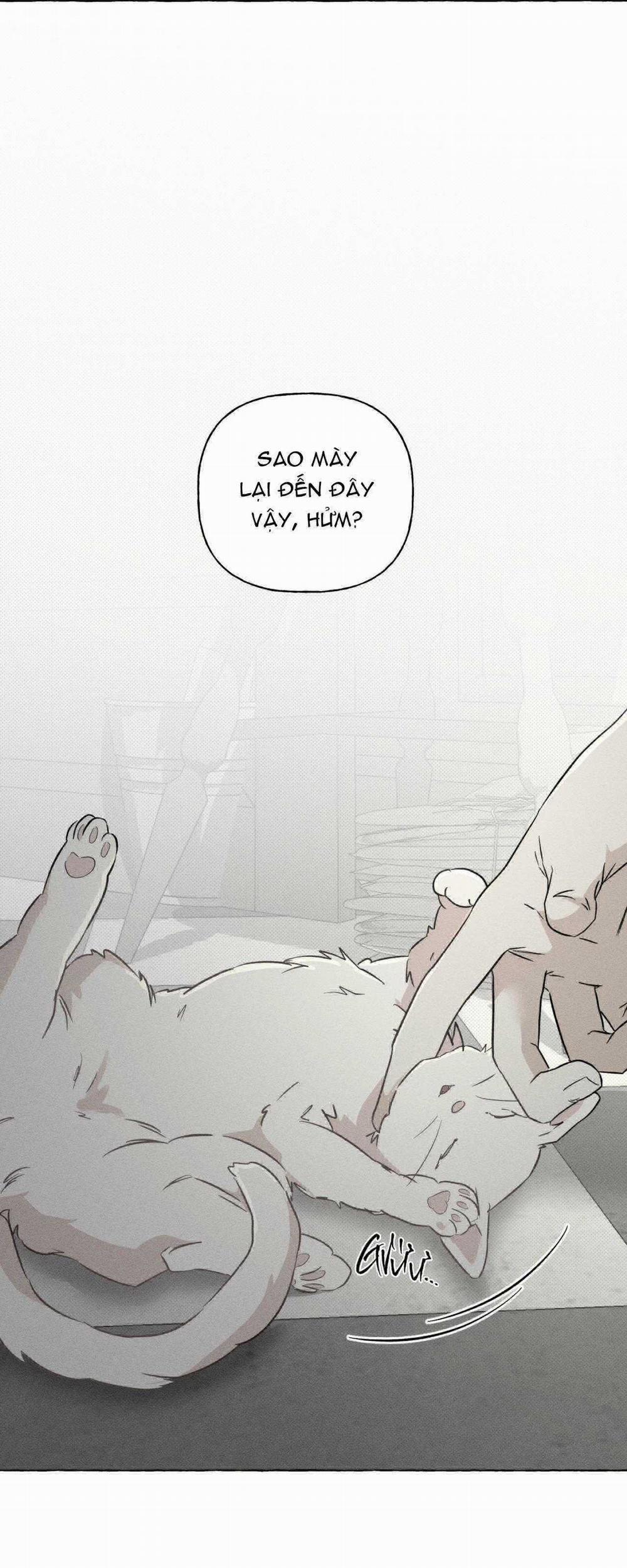 Xương Và Cánh Hoa 39 trang 22