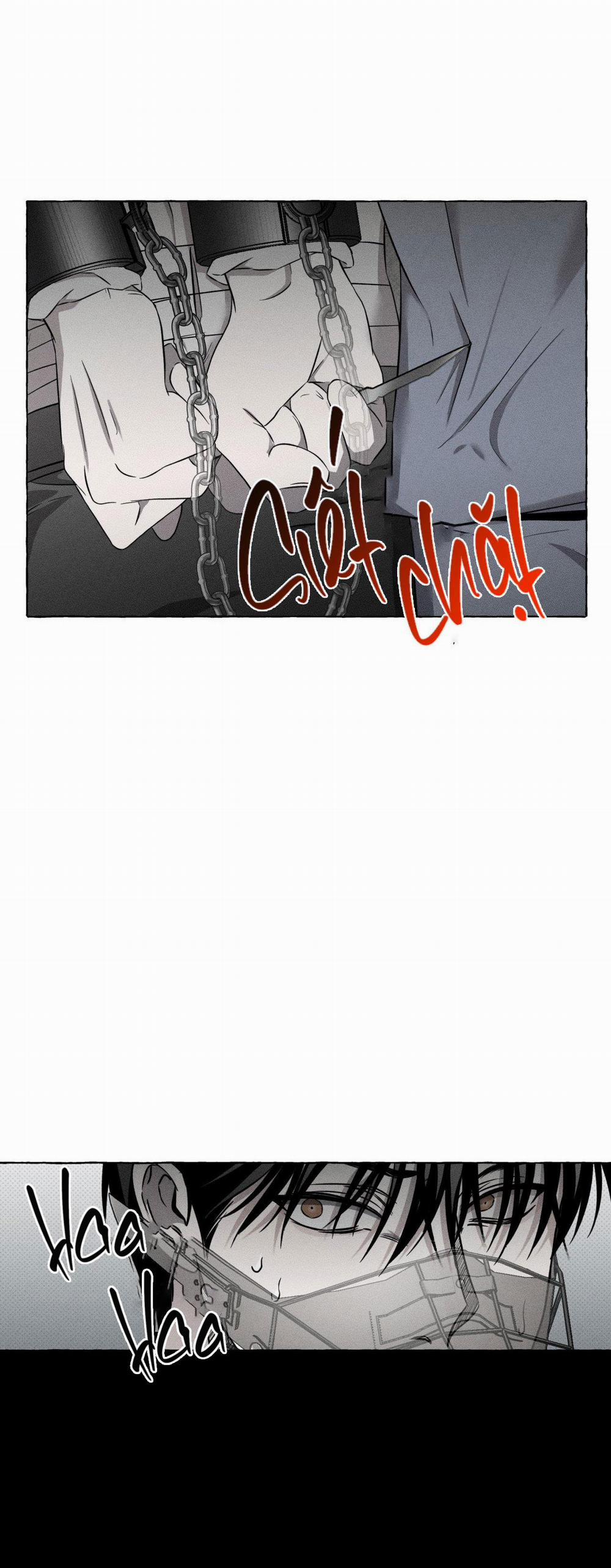 Xương Và Cánh Hoa 4 trang 13