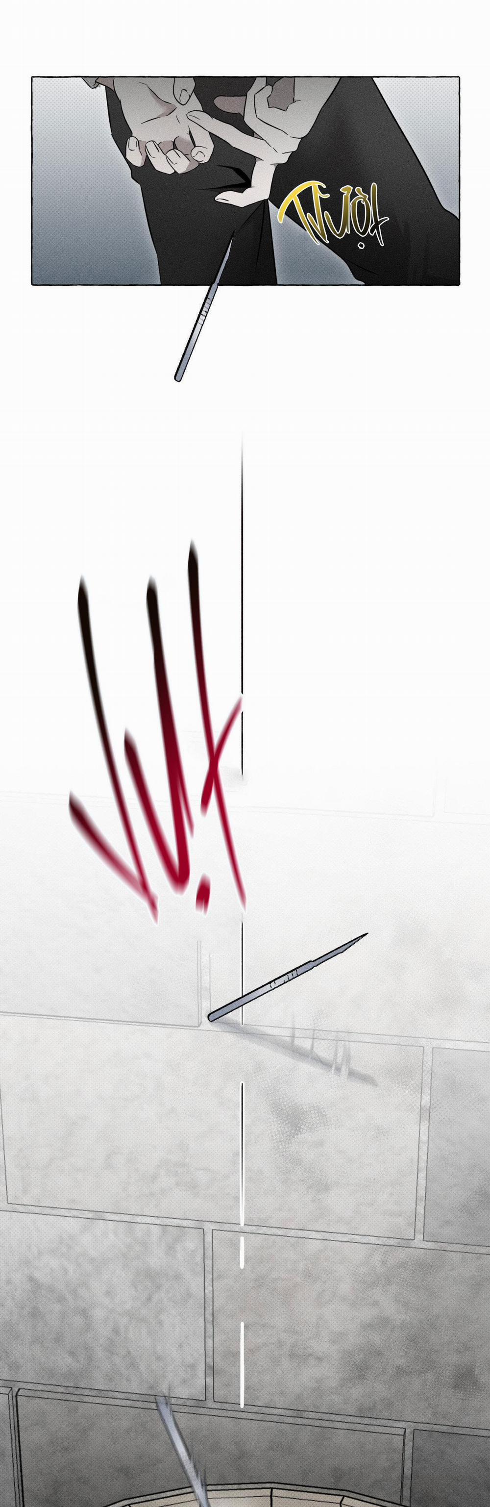 Xương Và Cánh Hoa 4 trang 17