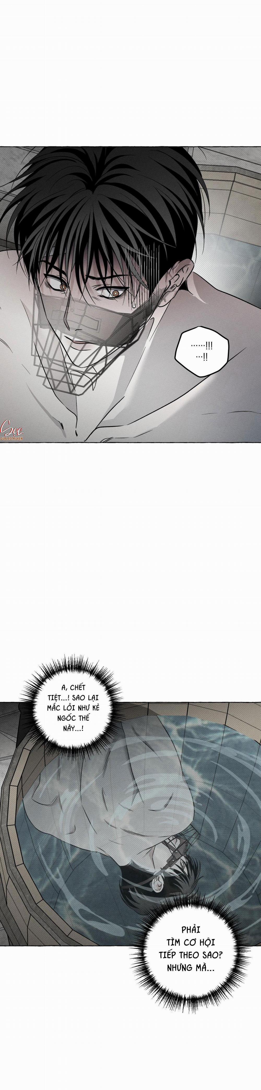 Xương Và Cánh Hoa 4 trang 19