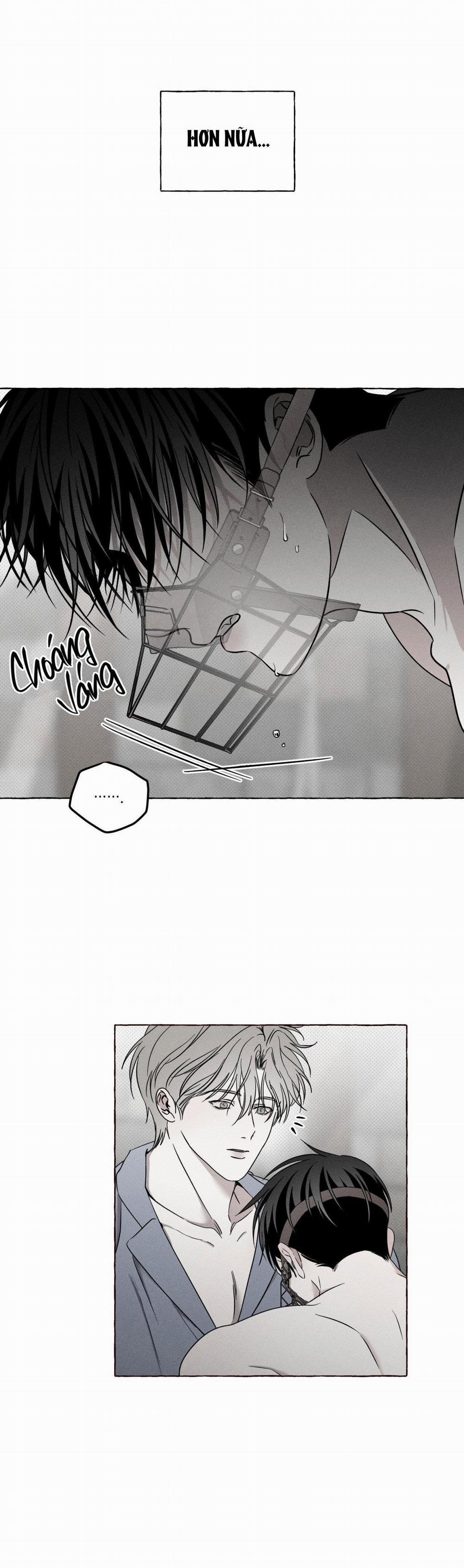 Xương Và Cánh Hoa 4 trang 21