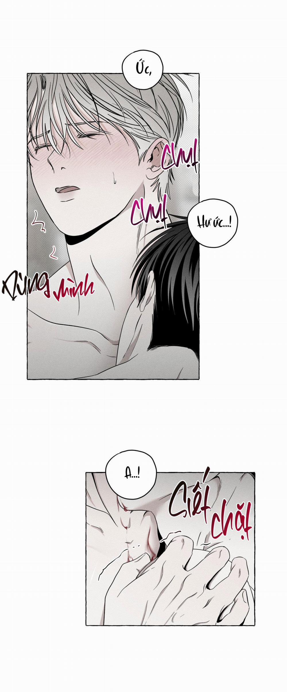 Xương Và Cánh Hoa 5 trang 39