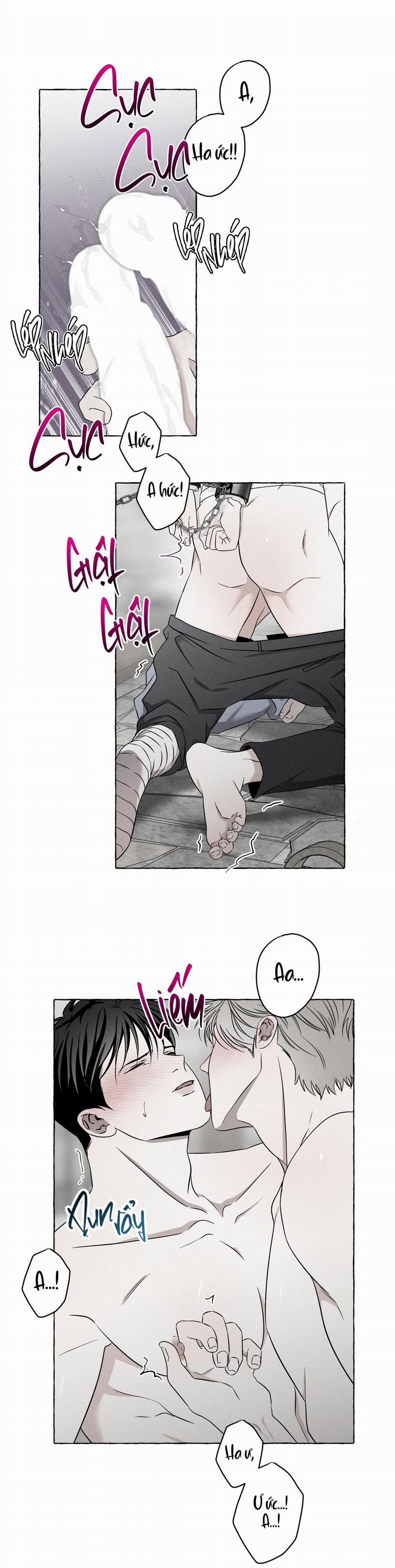 Xương Và Cánh Hoa 6 trang 15