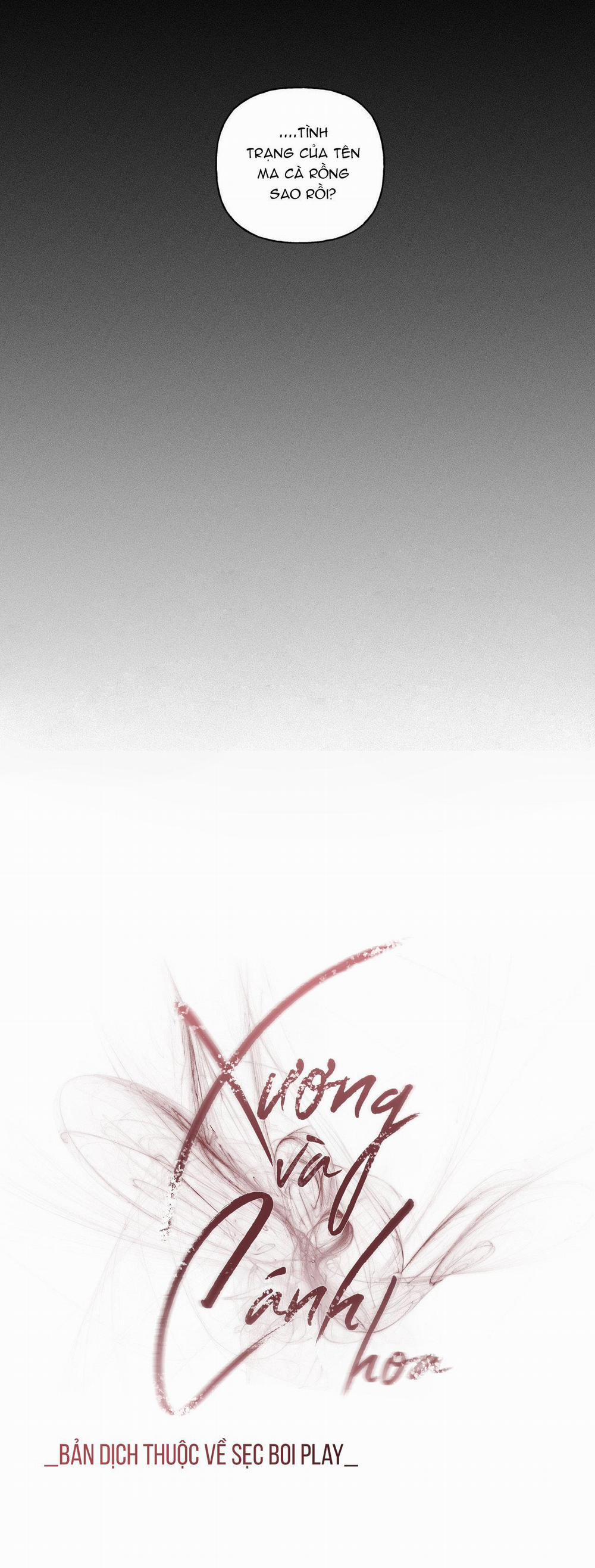 Xương Và Cánh Hoa 7 trang 24