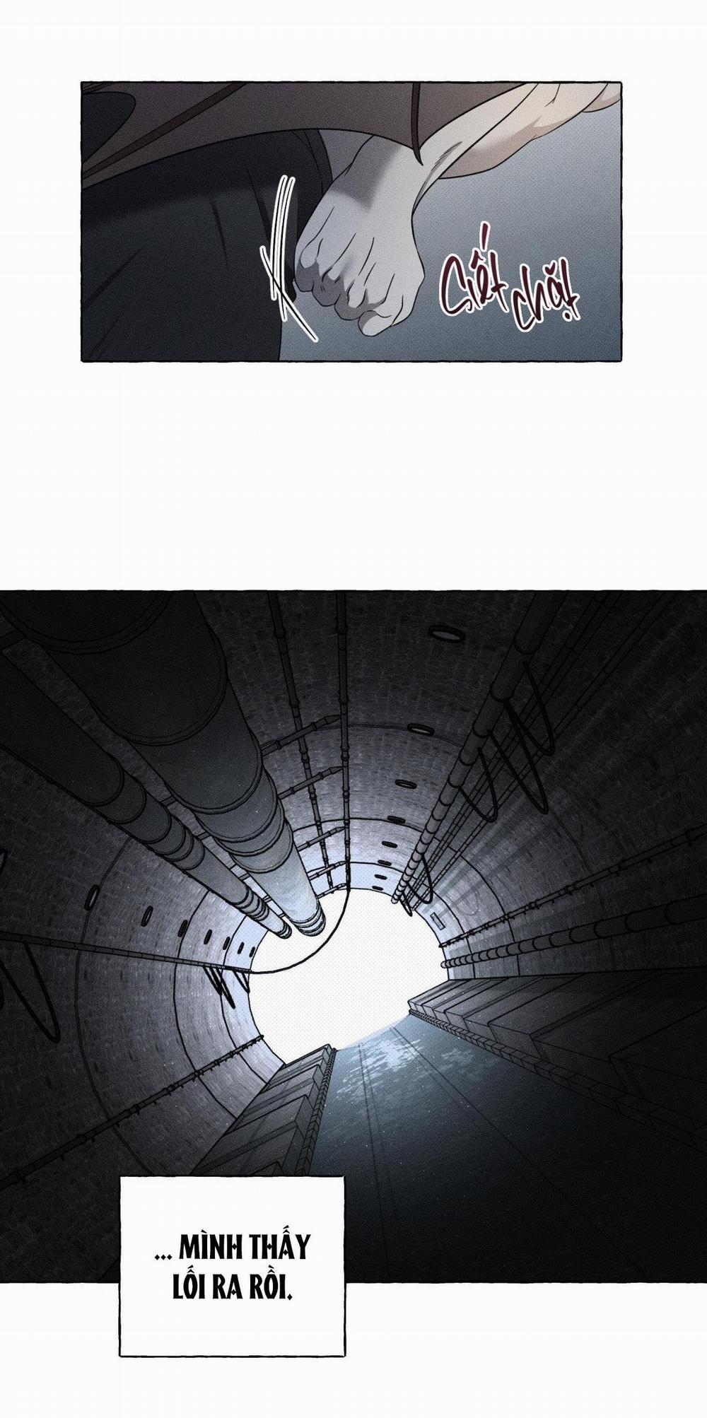 Xương Và Cánh Hoa 9 trang 23