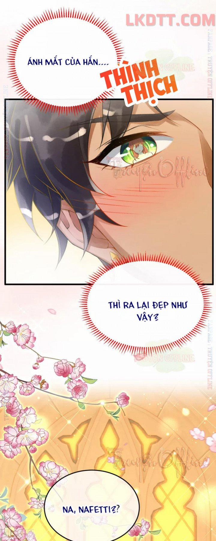 Xuyên Không Đến Ai Câp – Trở Thành Nàng Dâu Của Vua 11 trang 5