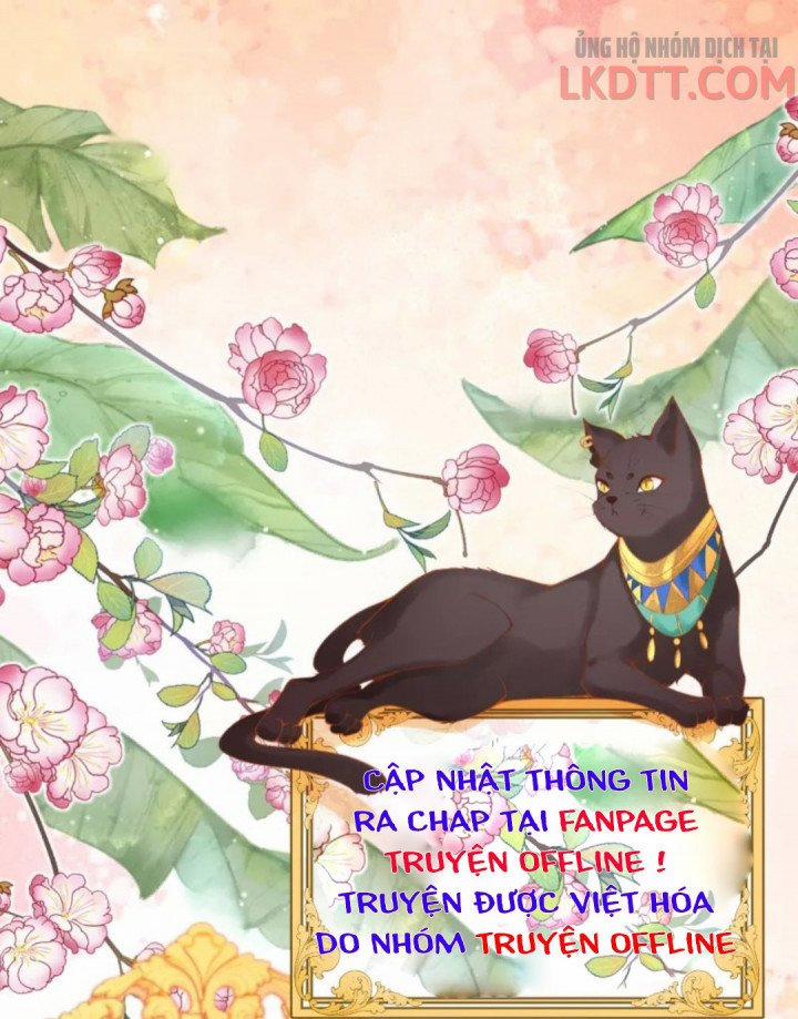 Xuyên Không Đến Ai Câp – Trở Thành Nàng Dâu Của Vua 13 trang 28