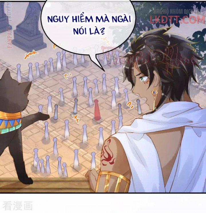 Xuyên Không Đến Ai Câp – Trở Thành Nàng Dâu Của Vua 13 trang 5