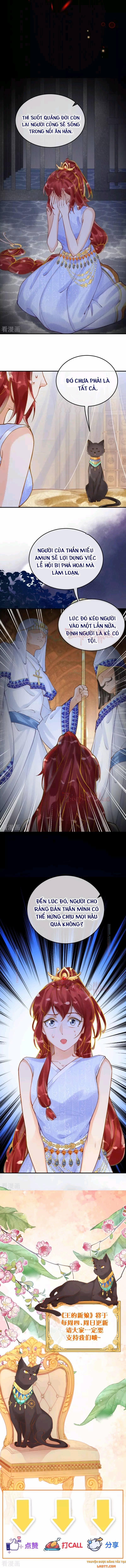 Xuyên Không Đến Ai Câp – Trở Thành Nàng Dâu Của Vua 14 trang 5