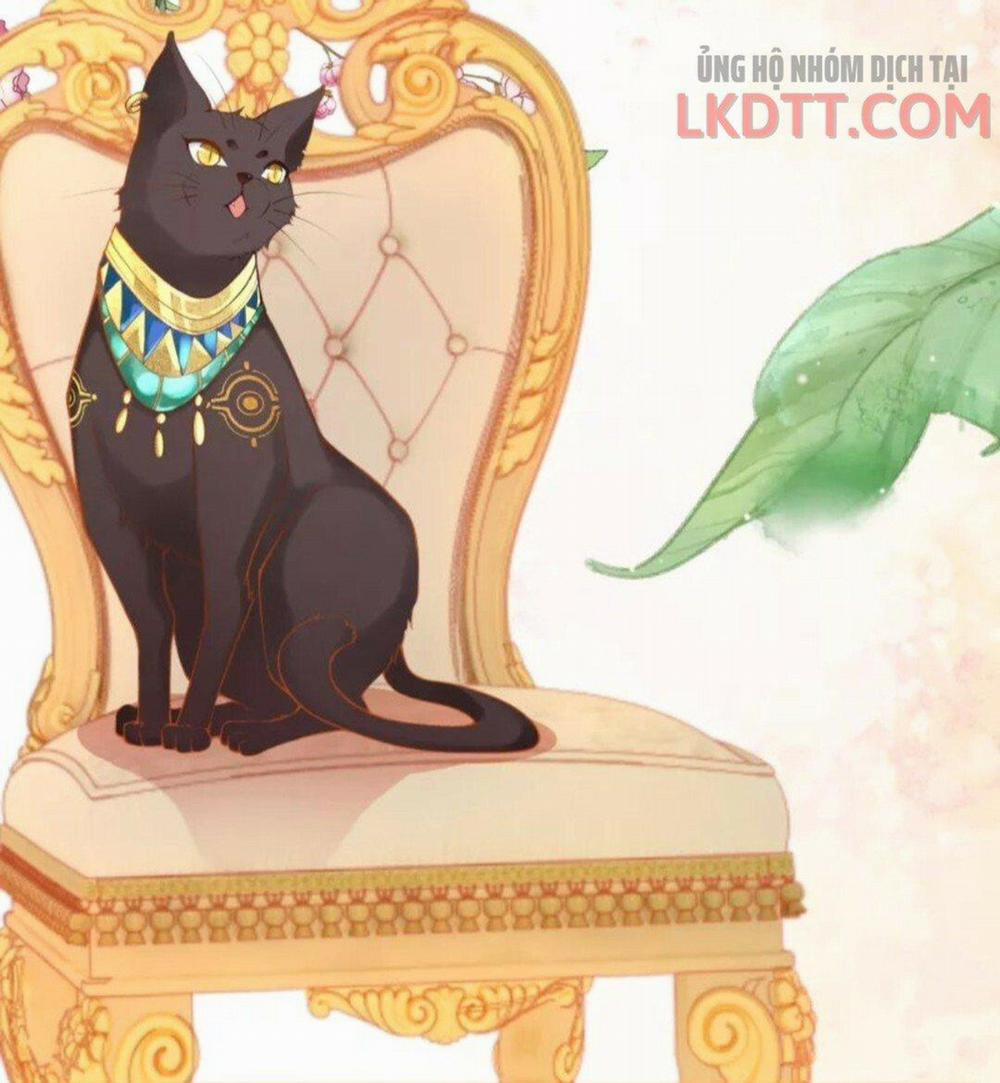 Xuyên Không Đến Ai Câp – Trở Thành Nàng Dâu Của Vua 15.2 trang 12