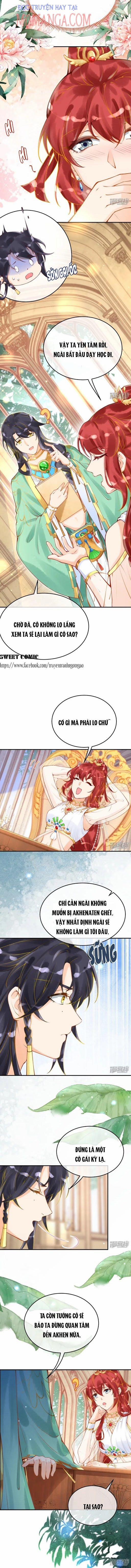 Xuyên Không Đến Ai Câp – Trở Thành Nàng Dâu Của Vua 22 trang 3