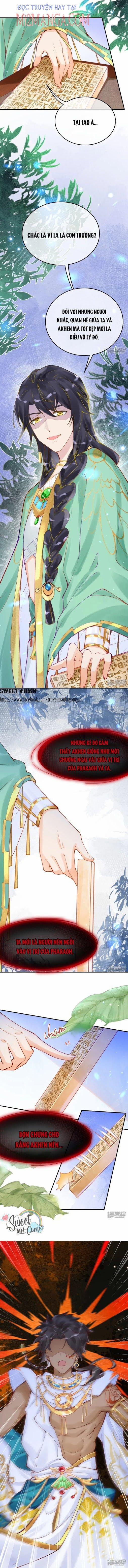 Xuyên Không Đến Ai Câp – Trở Thành Nàng Dâu Của Vua 22 trang 4