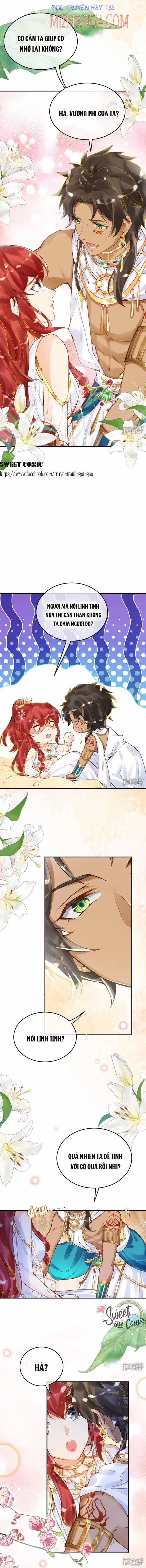 Xuyên Không Đến Ai Câp – Trở Thành Nàng Dâu Của Vua 23 trang 3