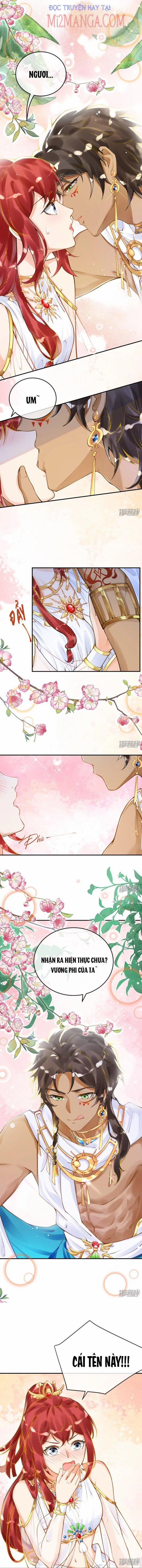 Xuyên Không Đến Ai Câp – Trở Thành Nàng Dâu Của Vua 23 trang 4