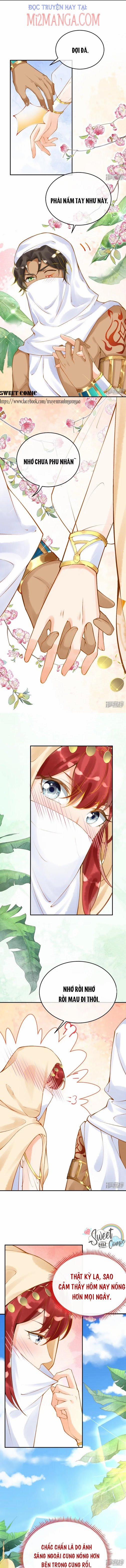 Xuyên Không Đến Ai Câp – Trở Thành Nàng Dâu Của Vua 24 trang 3