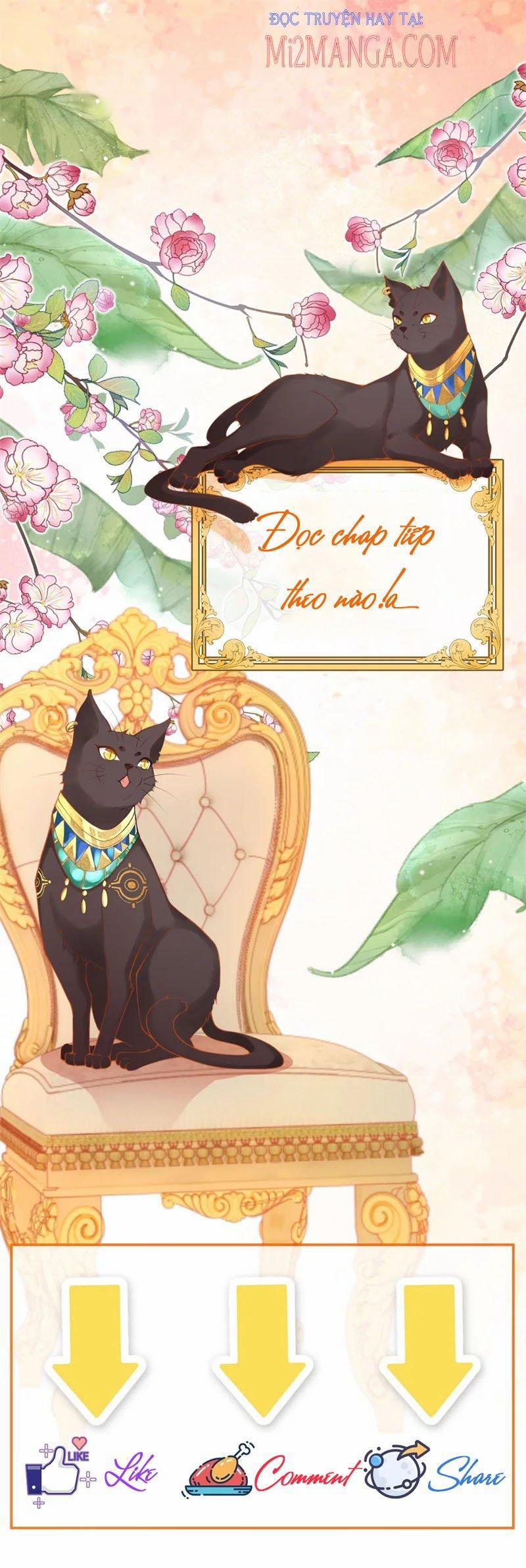 Xuyên Không Đến Ai Câp – Trở Thành Nàng Dâu Của Vua 24 trang 7