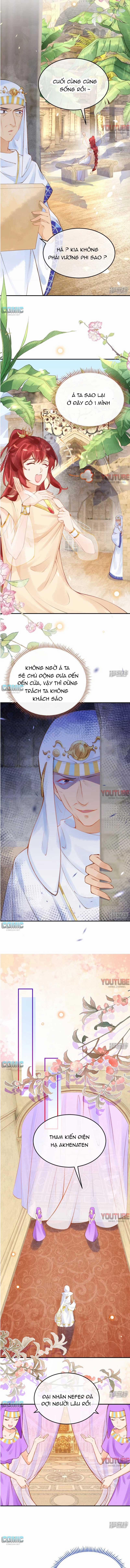 Xuyên Không Đến Ai Câp – Trở Thành Nàng Dâu Của Vua 25 trang 5