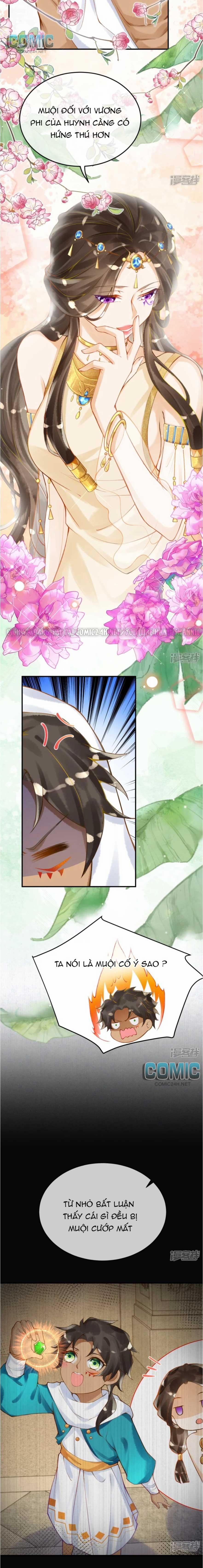 Xuyên Không Đến Ai Câp – Trở Thành Nàng Dâu Của Vua 26 trang 5