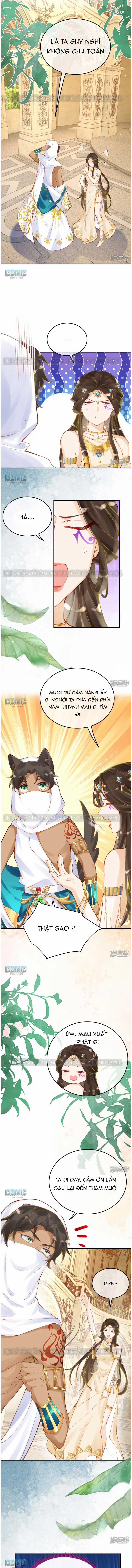 Xuyên Không Đến Ai Câp – Trở Thành Nàng Dâu Của Vua 27 trang 2
