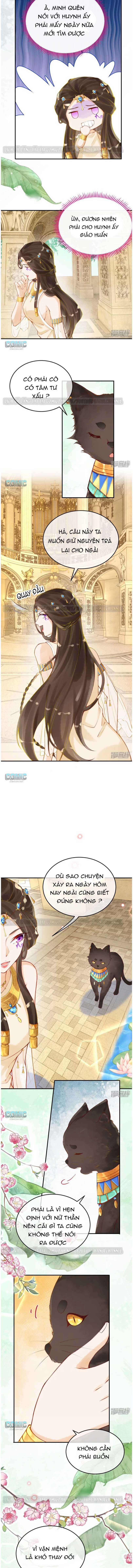 Xuyên Không Đến Ai Câp – Trở Thành Nàng Dâu Của Vua 27 trang 3