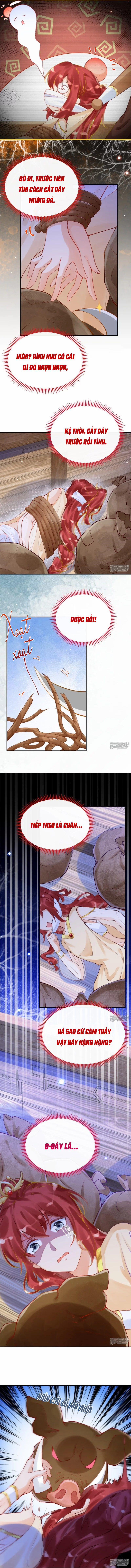 Xuyên Không Đến Ai Câp – Trở Thành Nàng Dâu Của Vua 28 trang 3