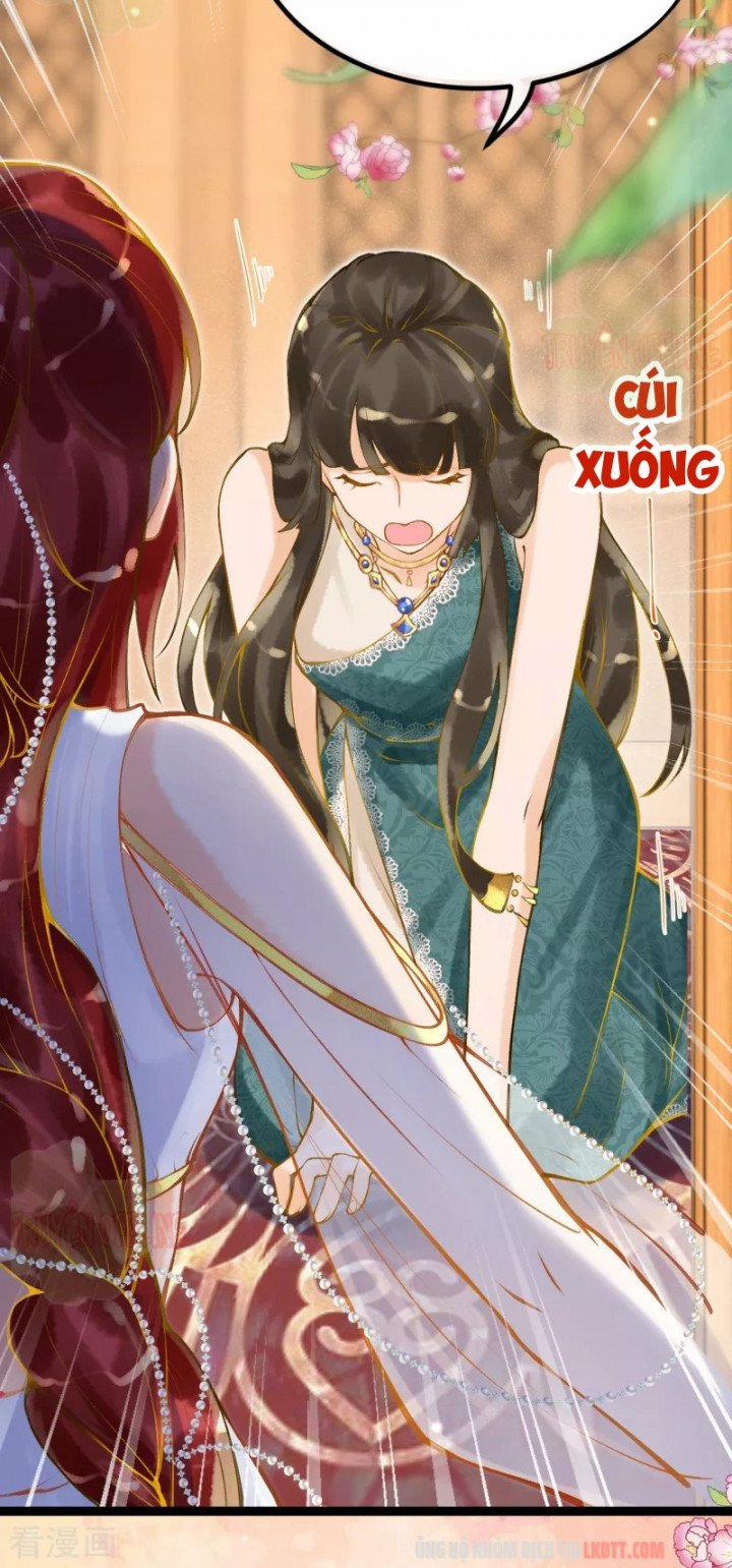 Xuyên Không Đến Ai Câp – Trở Thành Nàng Dâu Của Vua 8 trang 2