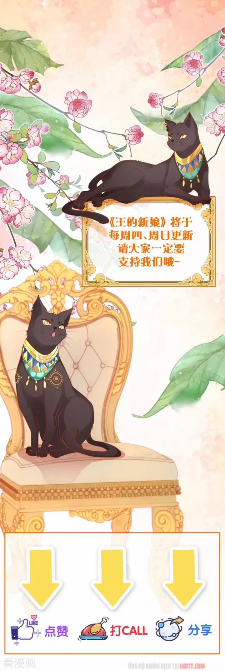 Xuyên Không Đến Ai Câp – Trở Thành Nàng Dâu Của Vua 9 trang 31