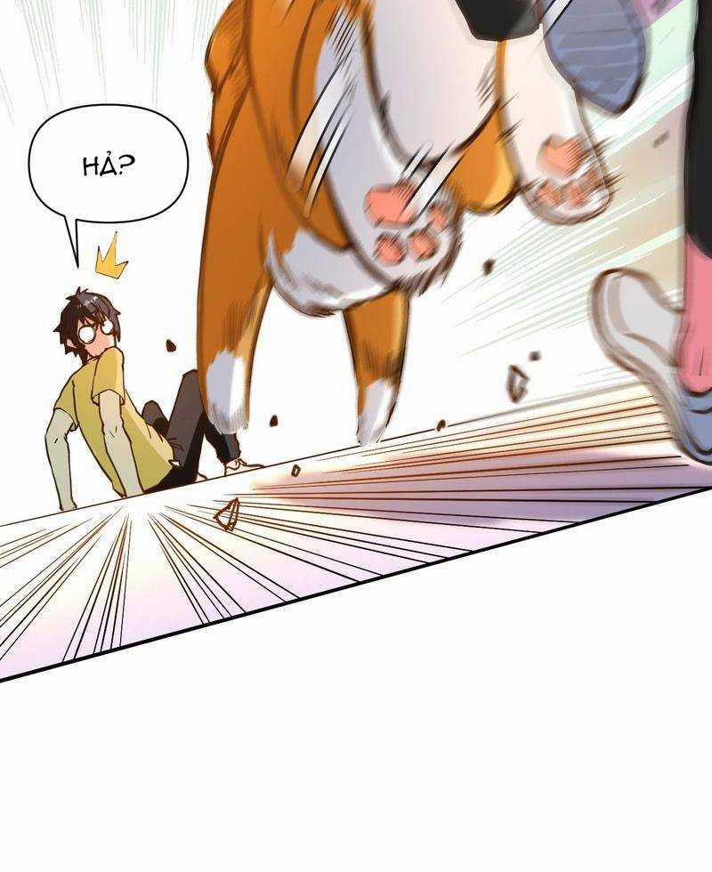 Xuyên Không Tới Thế Giới Tu Chân Nhưng Ta Vẫn Có Mạng Internet 1 trang 21