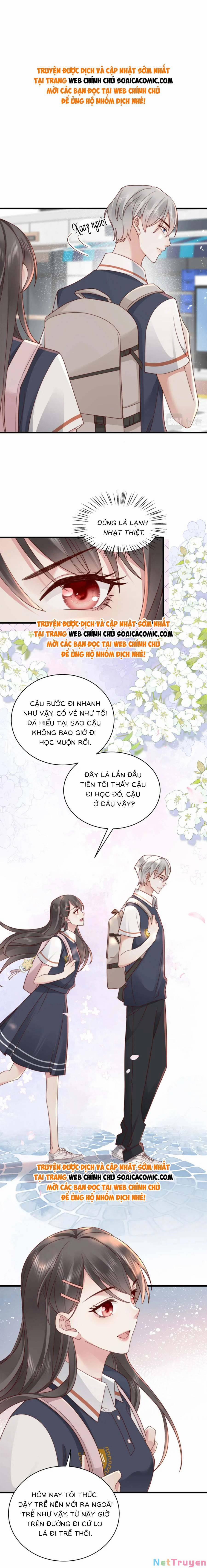 Xuyên Nhanh: Bệnh Kiều Đại Lão Cứ Dính Người 19 trang 0