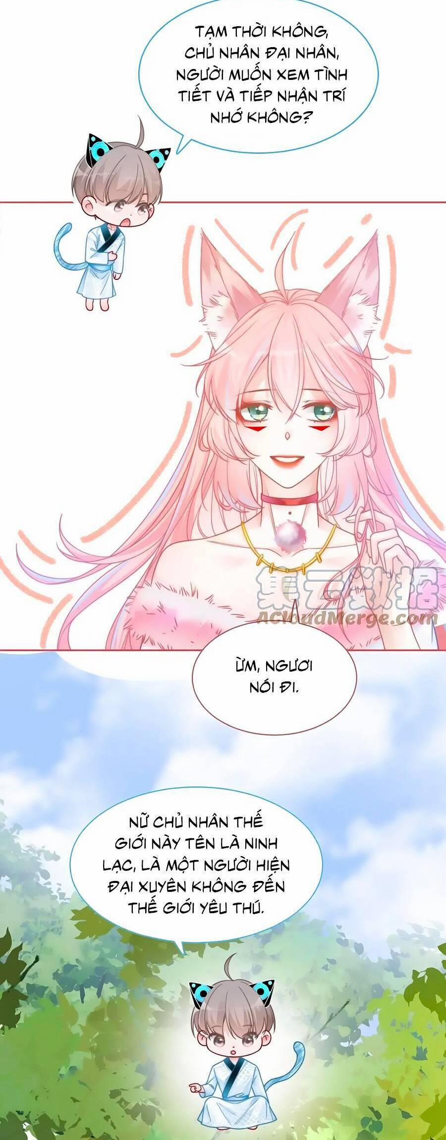 Xuyên Nhanh Nữ Phụ Bình Tĩnh Chút 150 trang 16