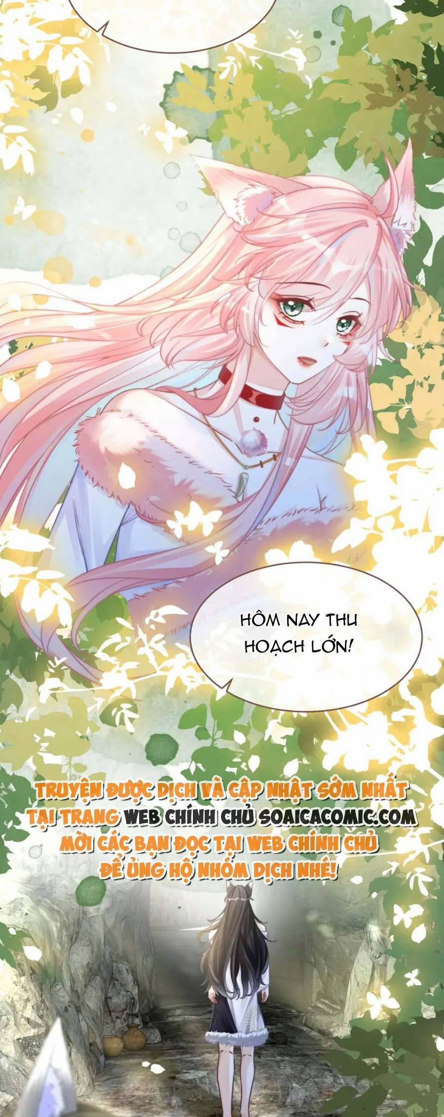 Xuyên Nhanh Nữ Phụ Bình Tĩnh Chút 151 trang 12