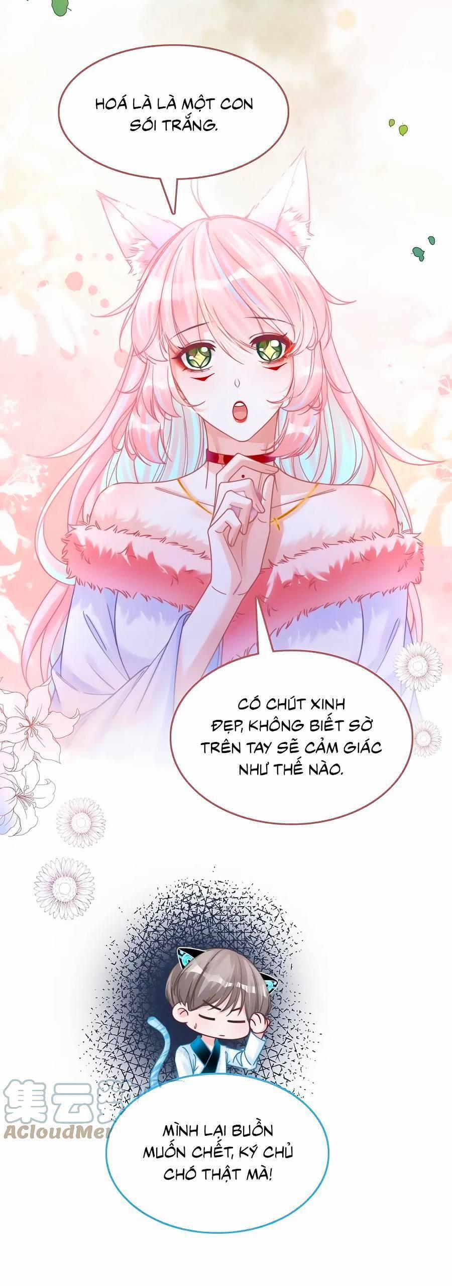 Xuyên Nhanh Nữ Phụ Bình Tĩnh Chút 164 trang 27