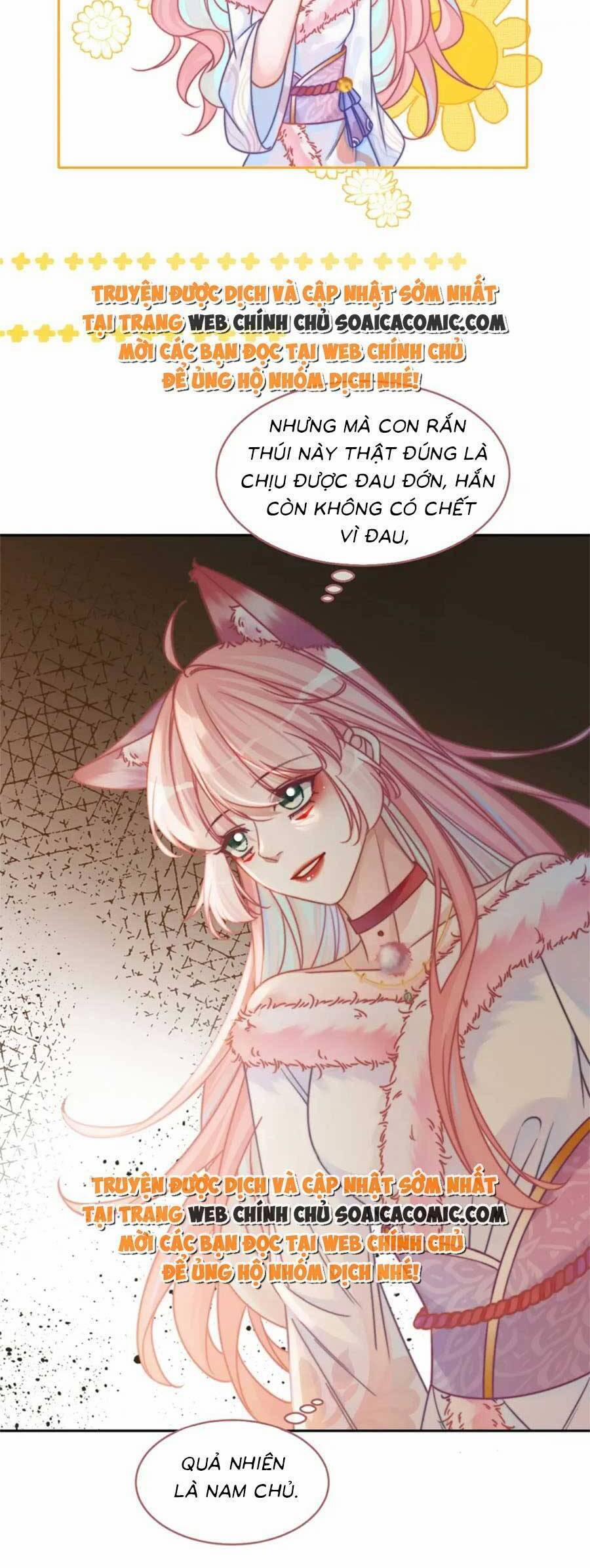 Xuyên Nhanh Nữ Phụ Bình Tĩnh Chút 166 trang 27