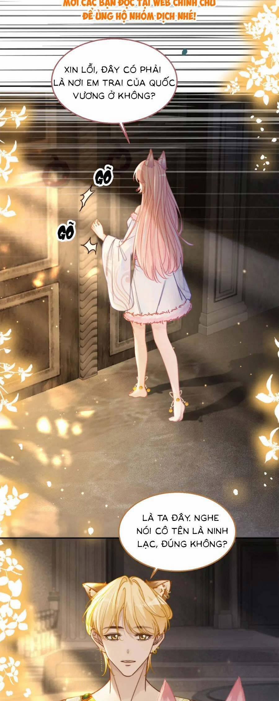 Xuyên Nhanh Nữ Phụ Bình Tĩnh Chút 168.2 trang 6