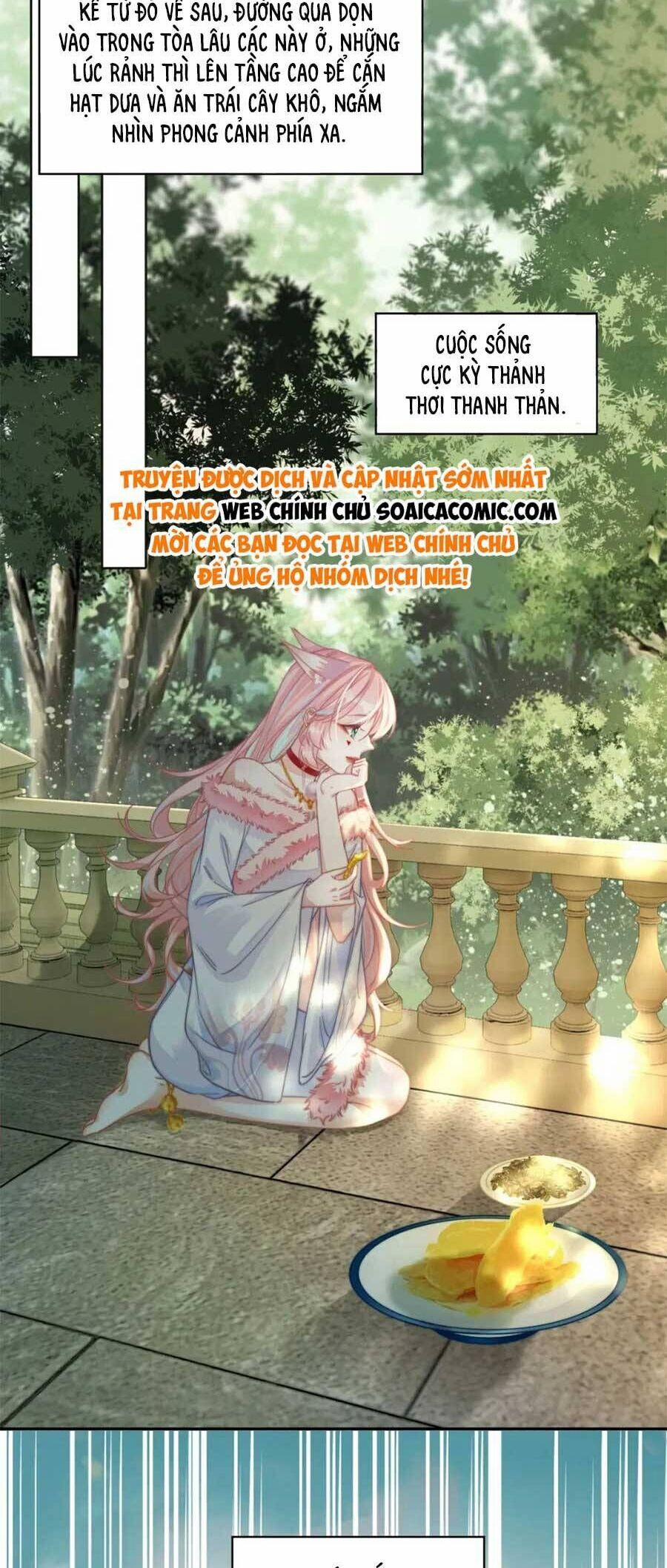 Xuyên Nhanh Nữ Phụ Bình Tĩnh Chút 173 trang 4