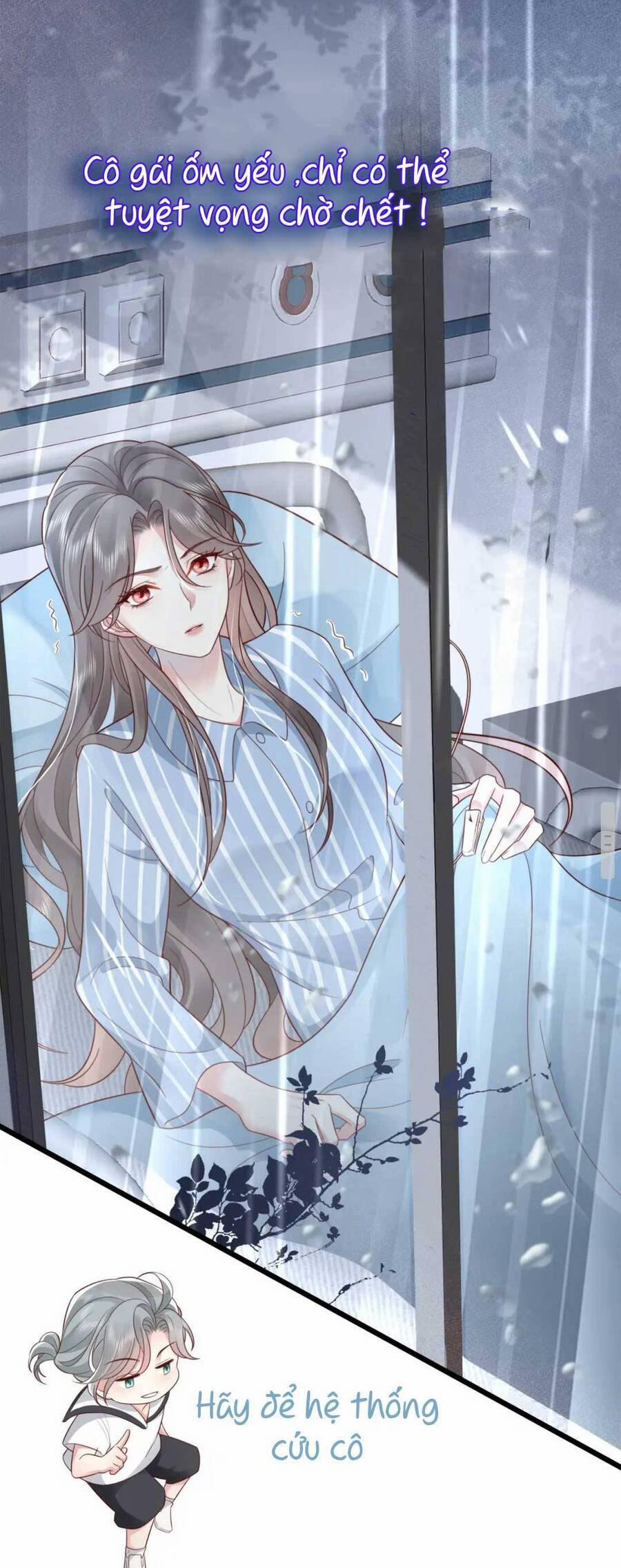 Xuyên Nhanh : Thiếu Gia Ốm Yếu Rất Dính Người 1 trang 2