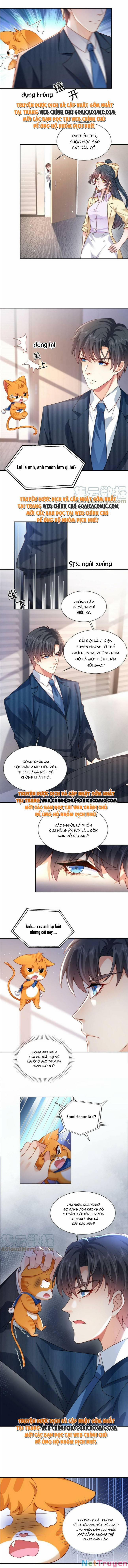 Xuyên Nhanh: Tra Nam Này Không Khó Trị 20 trang 1