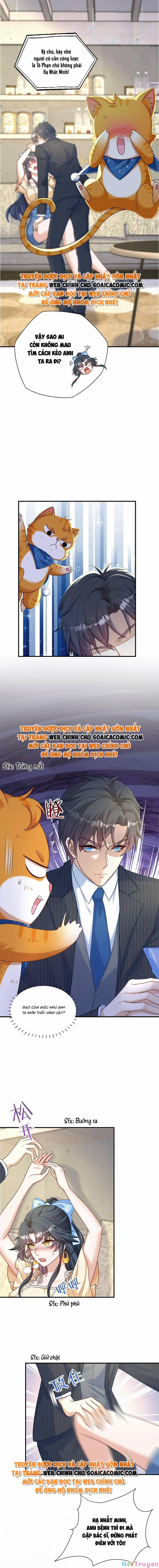 Xuyên Nhanh: Tra Nam Này Không Khó Trị 5 trang 0